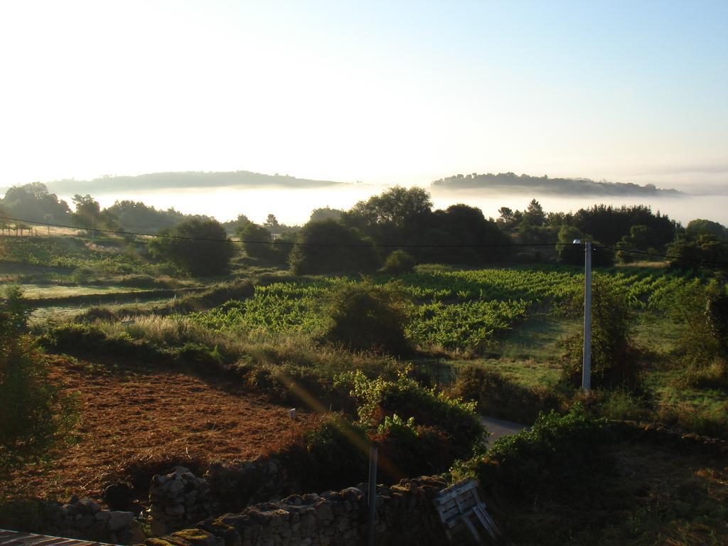 O Canto Da Terra Pantón Cameră foto